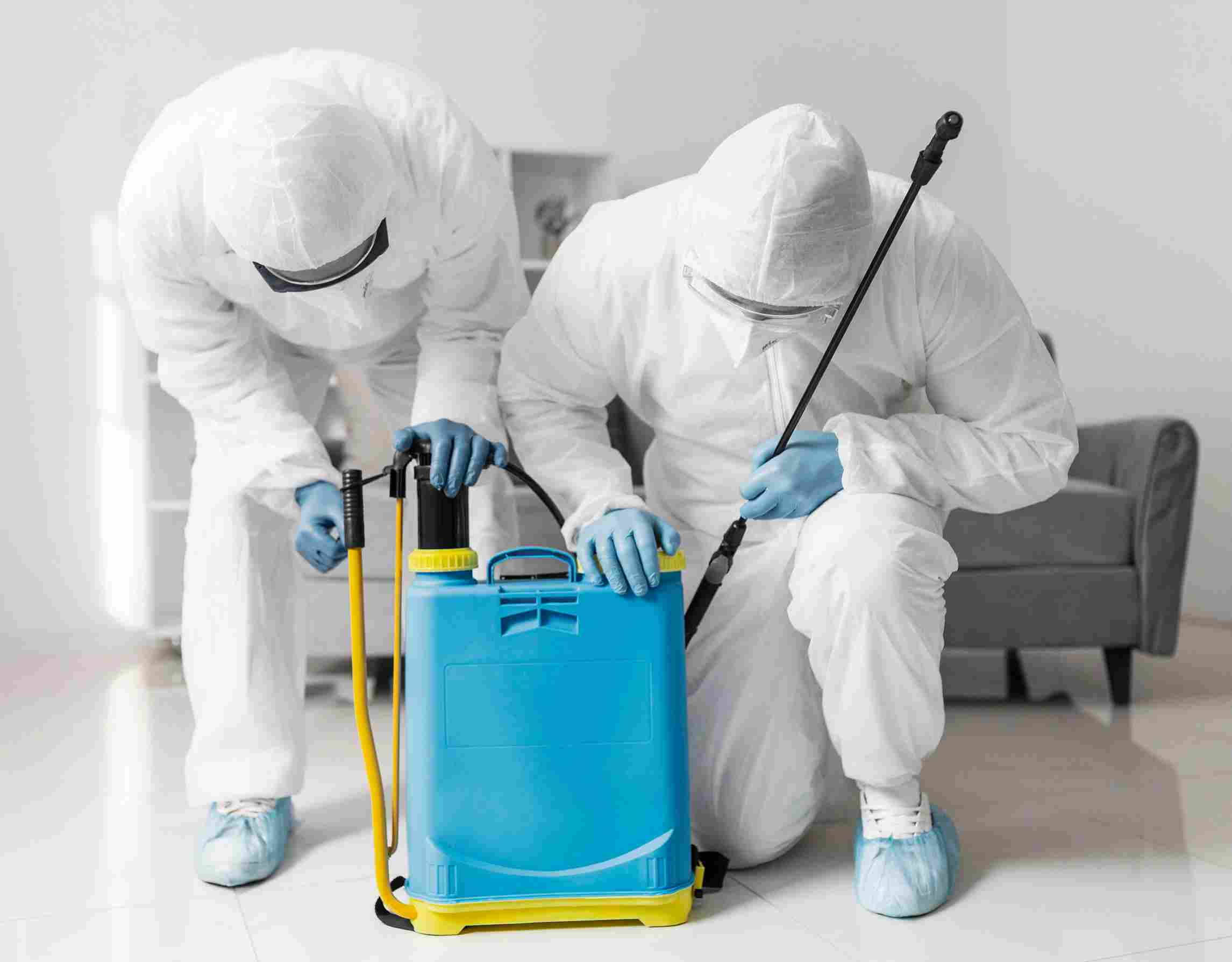 Disinfestazione professionale: quando è necessaria | orgadagestioni.it Disinfestazione professionale: quando è necessaria | orgadagestioni.it