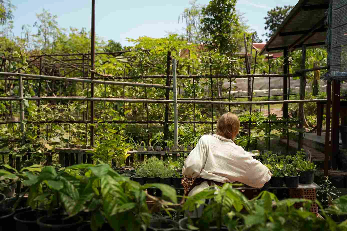 Parassiti in giardino: come riconoscerli (e sconfiggerli) in tempo | orgadagestioni.it